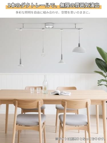 ダクトレール 1.0m 照明 スライドレール 照明 レール ライティングレール Coizabera 配線ダクトレール シーリング スポットライト/ペンダントライト対応 工事/工具不要 自由に位置調整 リビング ダイニング 寝室 キッチン オフィス 店舗用 雰囲気演出に最適 ホワイト